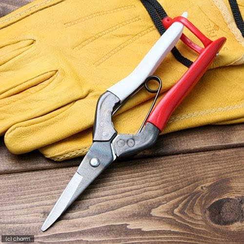 Okatsune 304 Long Blade Flower Shears – Precision Japanese Floral Scissors