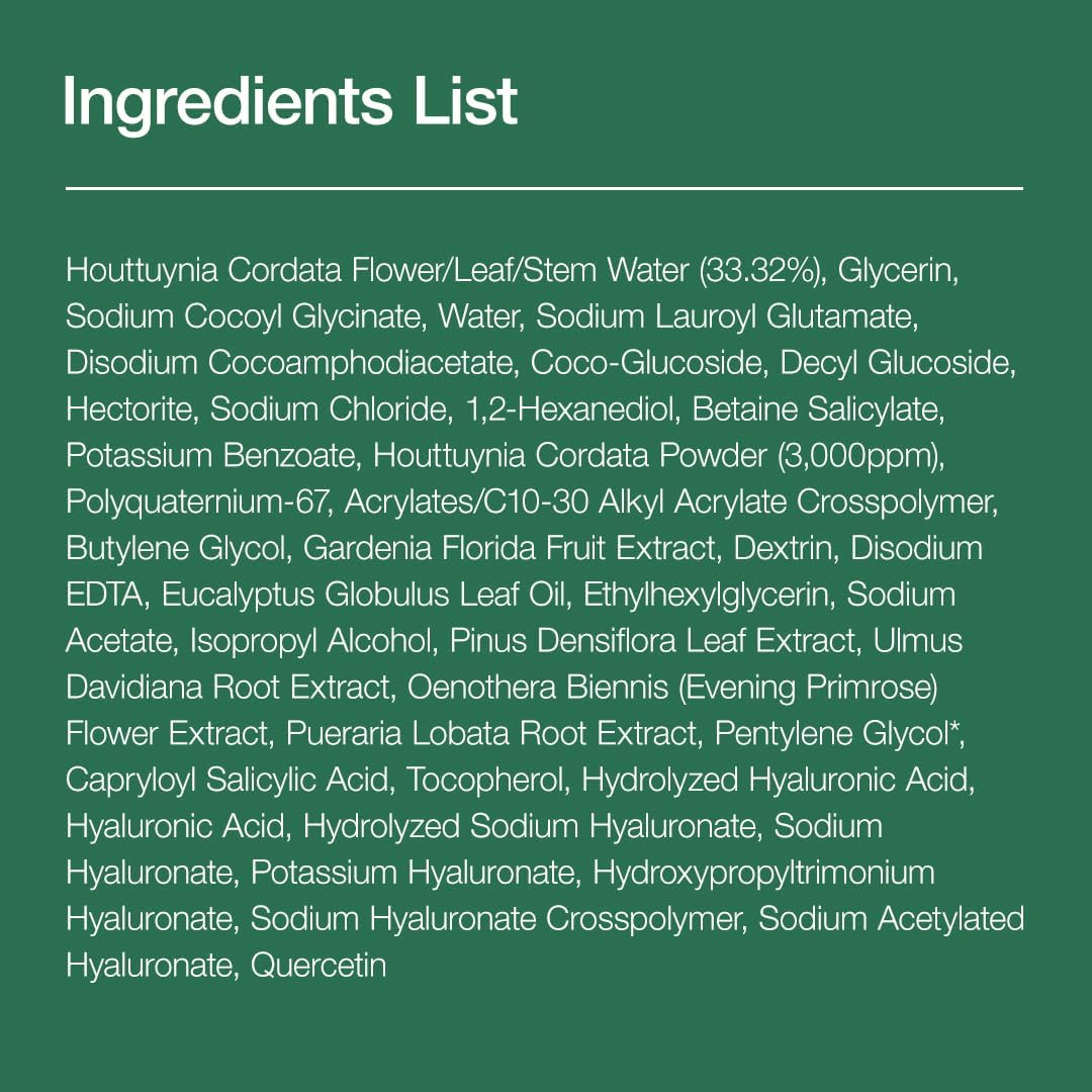 Anua  Anua Heartleaf Quercetinol Pore Deep Cleansing Foam